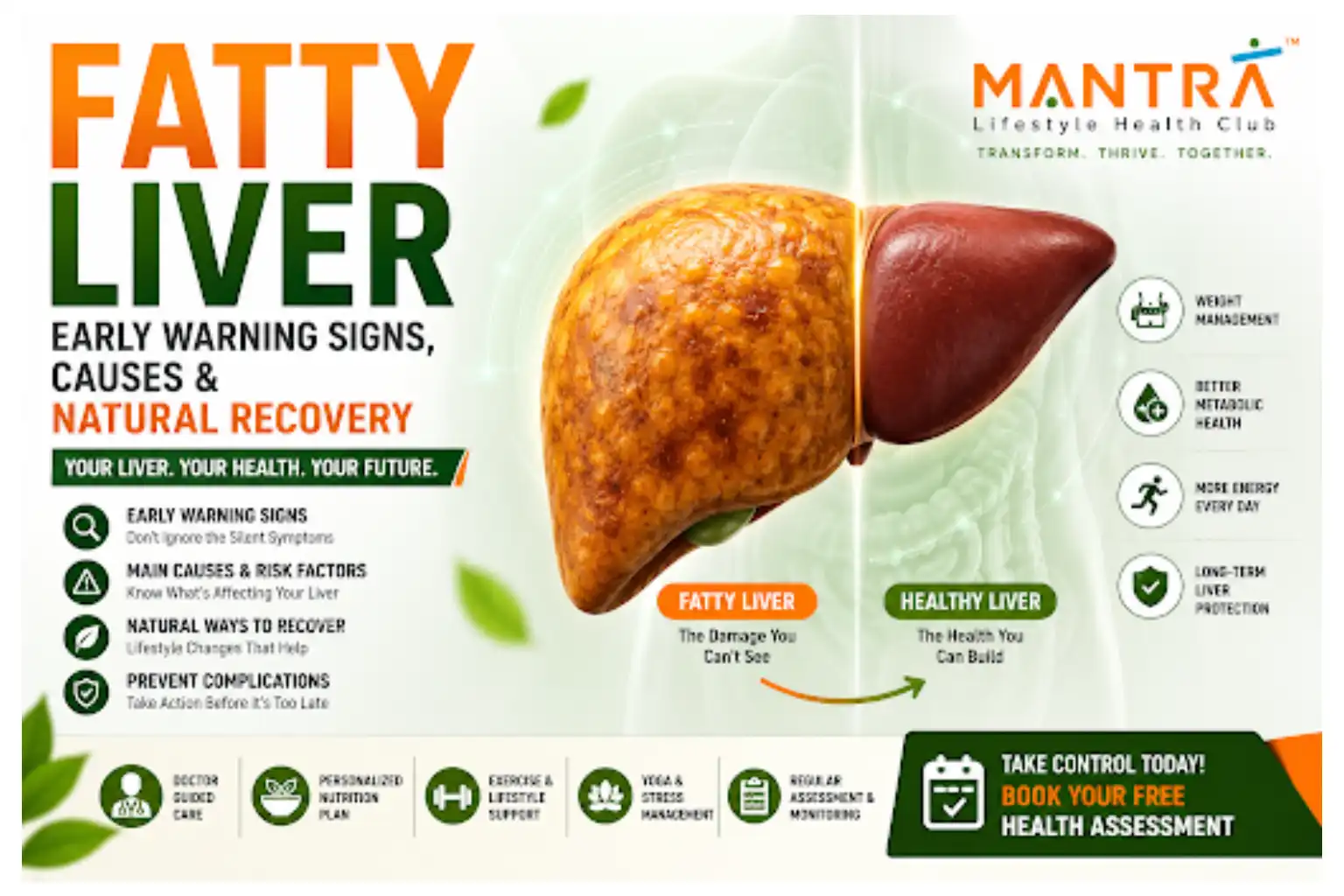 Fatty Liver: Early Warning Signs, Causes & Natural Recovery